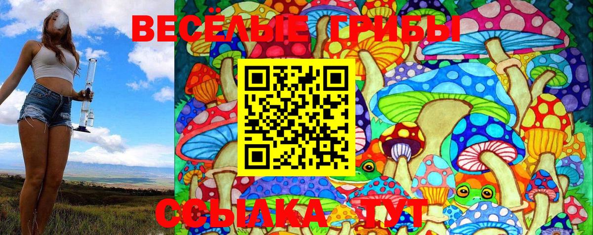 Камышин  Галлюциногенные грибы Magic Shrooms  Псилоцибиновые грибы GOLDEN TEACHER  Вход с VPN 