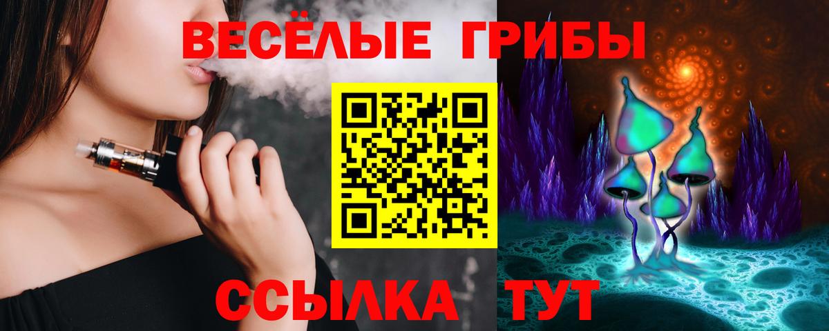 Галлюциногенные грибы MAGIC MUSHROOMS Камышин